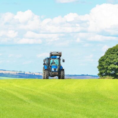 Image for choice number 3