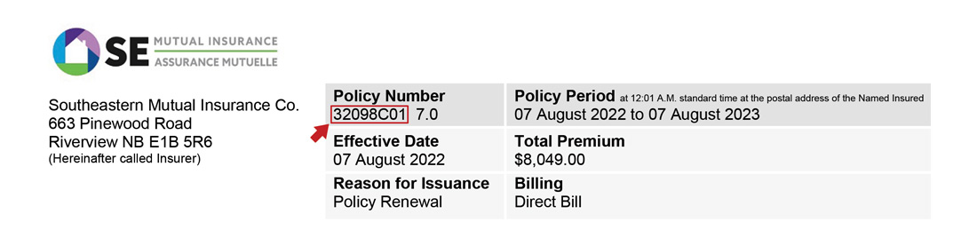 Image of policy renewal document